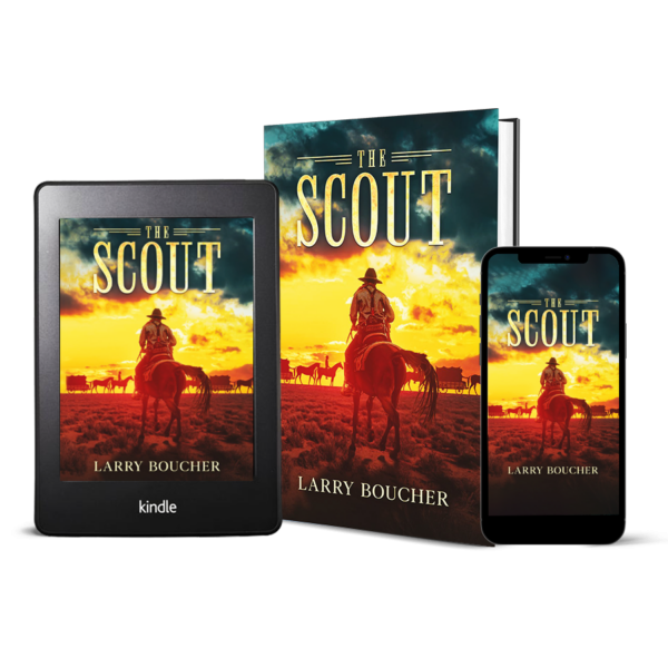 Larry Boucher book cover